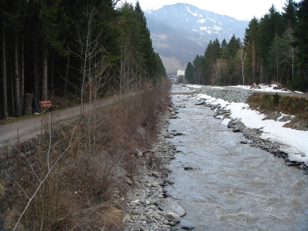 Flusslauf der Landquart