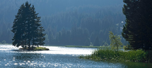 Landschaft