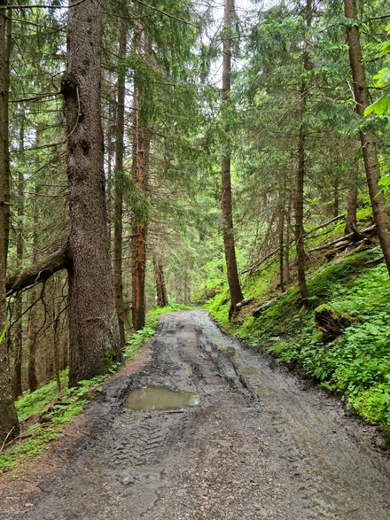 Ist-Zustand der auszubauenden Strasse