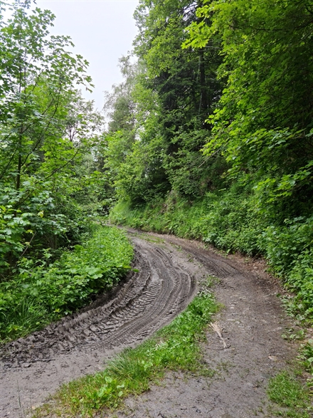 Ist-Zustand der auszubauenden Strasse - zweite Ansicht