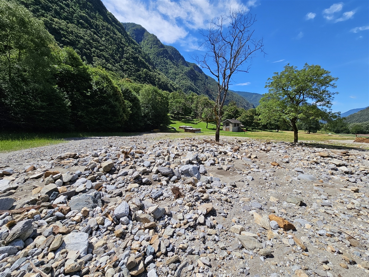 Grünfläche gefüllt mit Schlamm und Gestein