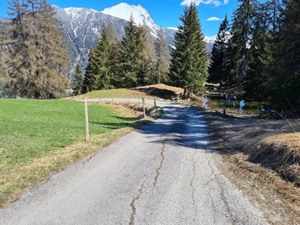 Walderschliessung Mon 
