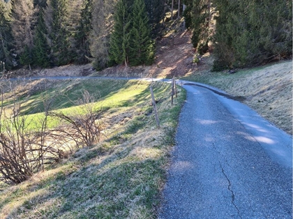 Walderschliessung Mon 