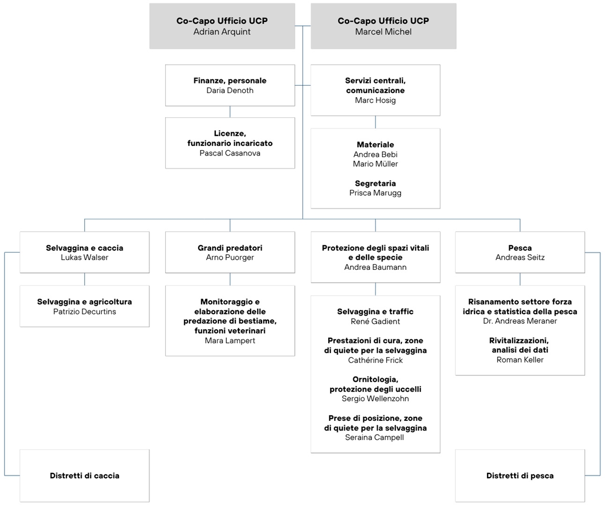 Organigramm Italienisch