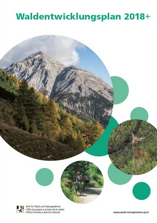 Neuer Waldentwicklungsplan für Graubünden