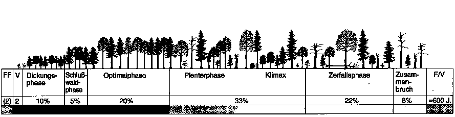 grafische Darstellung der Entwicklungsphasen