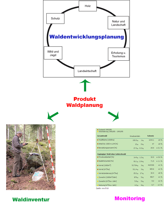 Waldplanung als Summe von Waldentwicklungsplanung, Waldinventur und Monitoring