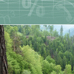 Titelblatt Wald und Zahlen