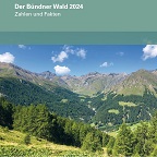 der Bündner Wald