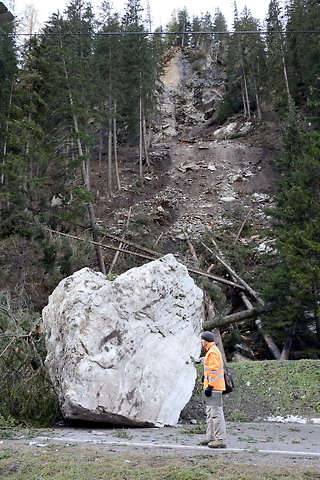 Der abgestürzte Felsblock und die Waldschneise