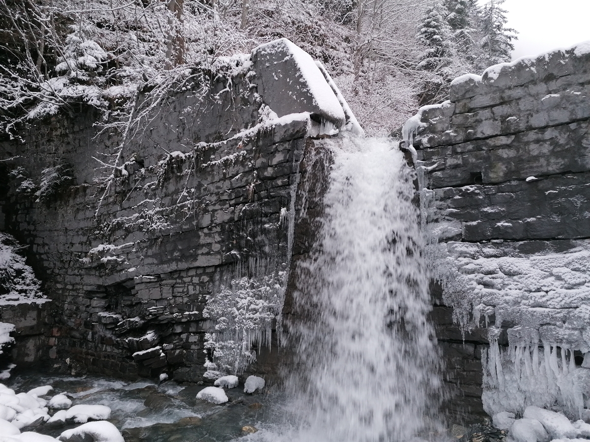 Vorschaubild Nolla Bach