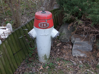 Einer der betroffenen Hydranten in Rhäzüns