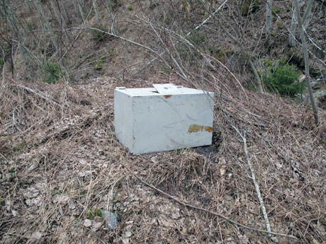 Der Tresor wurde im Gebüsch 50 Meter unterhalb der Strasse Schlans - Dardin gefunden