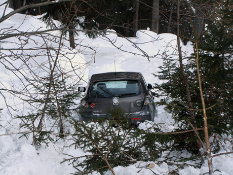 Das Fahrzeug kam 50 Meter unterhalb der Strasse im Wald zum Stillstand
