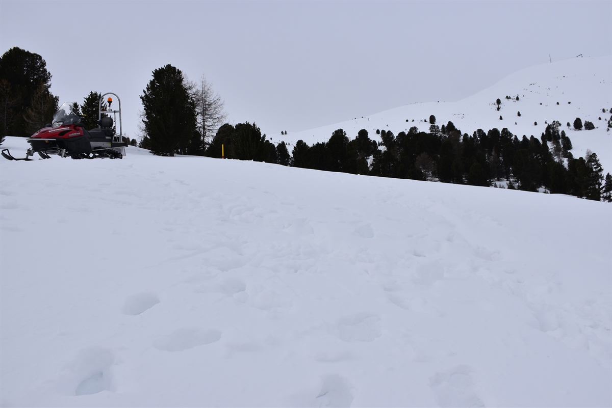 Fundort der Vermissten im Schnee