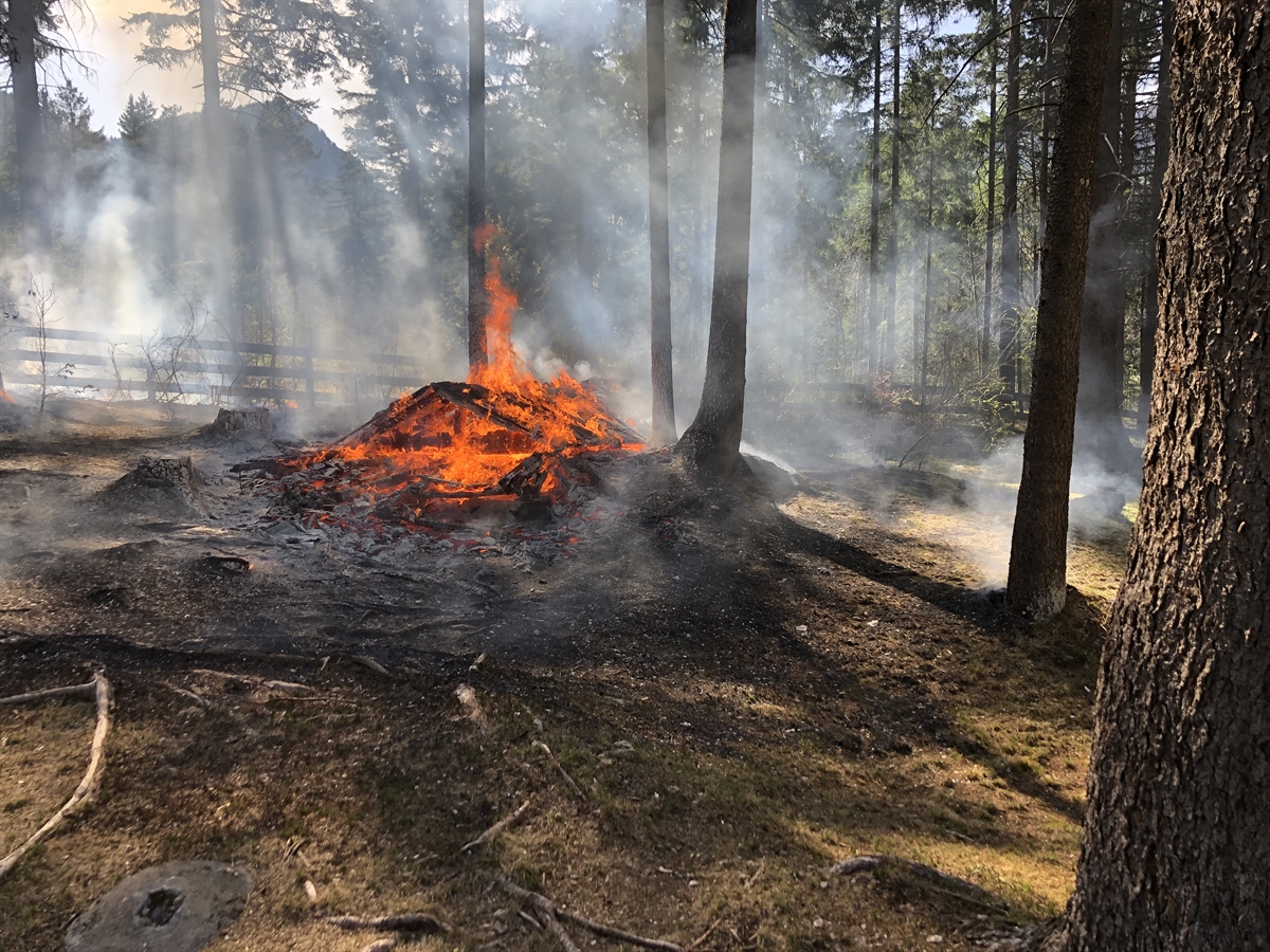 Das Grillholz-Häuschen brennt vollständig nieder