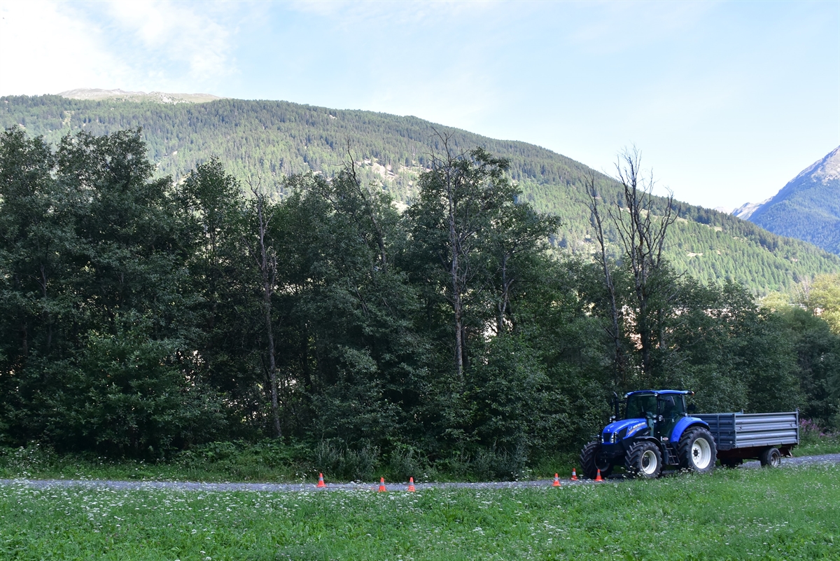 Der Feldweg von der Seite aus gesehen. Rechts auf diesem der Traktor mit Anhänger.