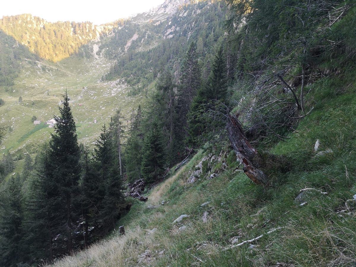 Nach links steil abfallender Hang. 