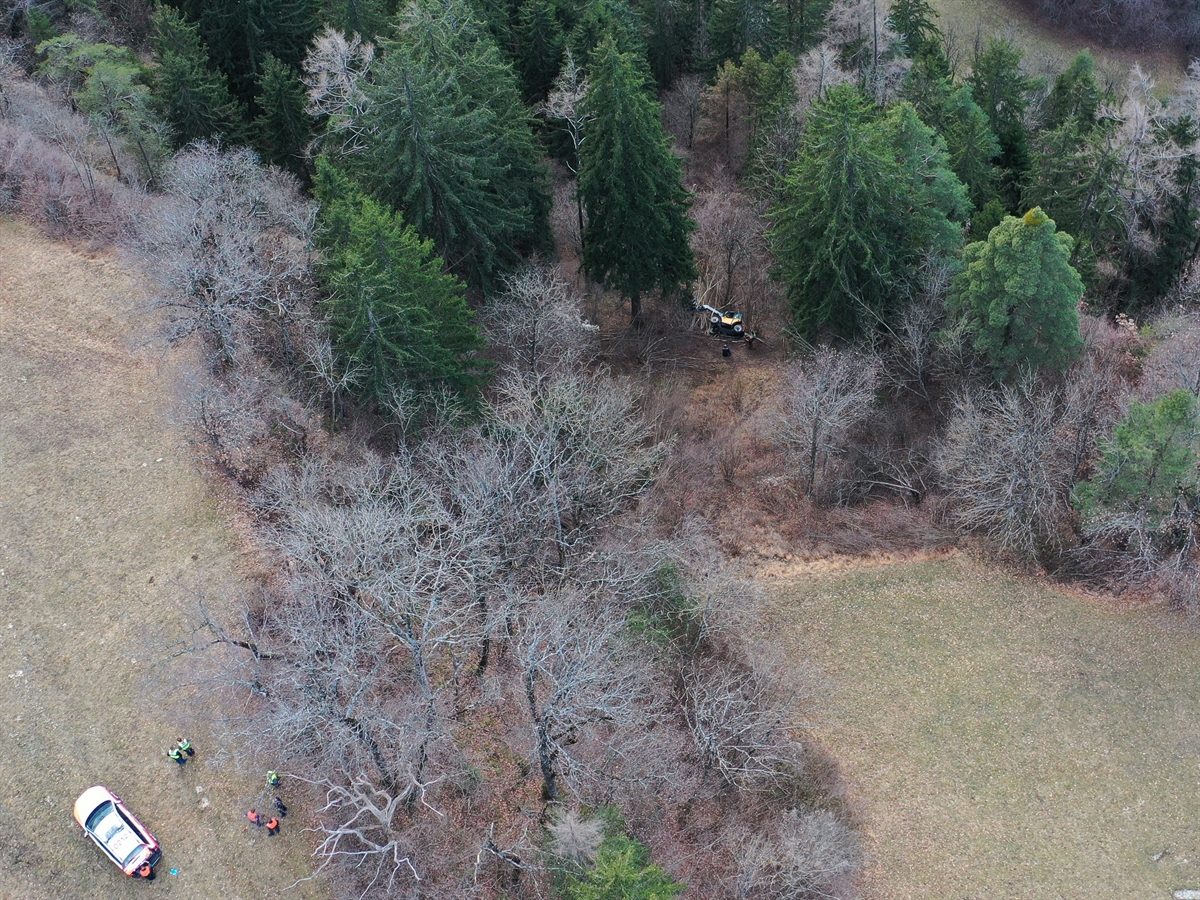 Drohnenbild der Absturzstelle. Links unten ein Polizeifahrzeug, im Wald das Unfallfahrzeug.