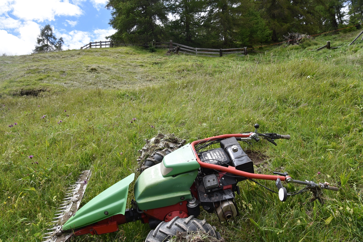 Motormäher im steilen Gelände bergwärts gesehen.