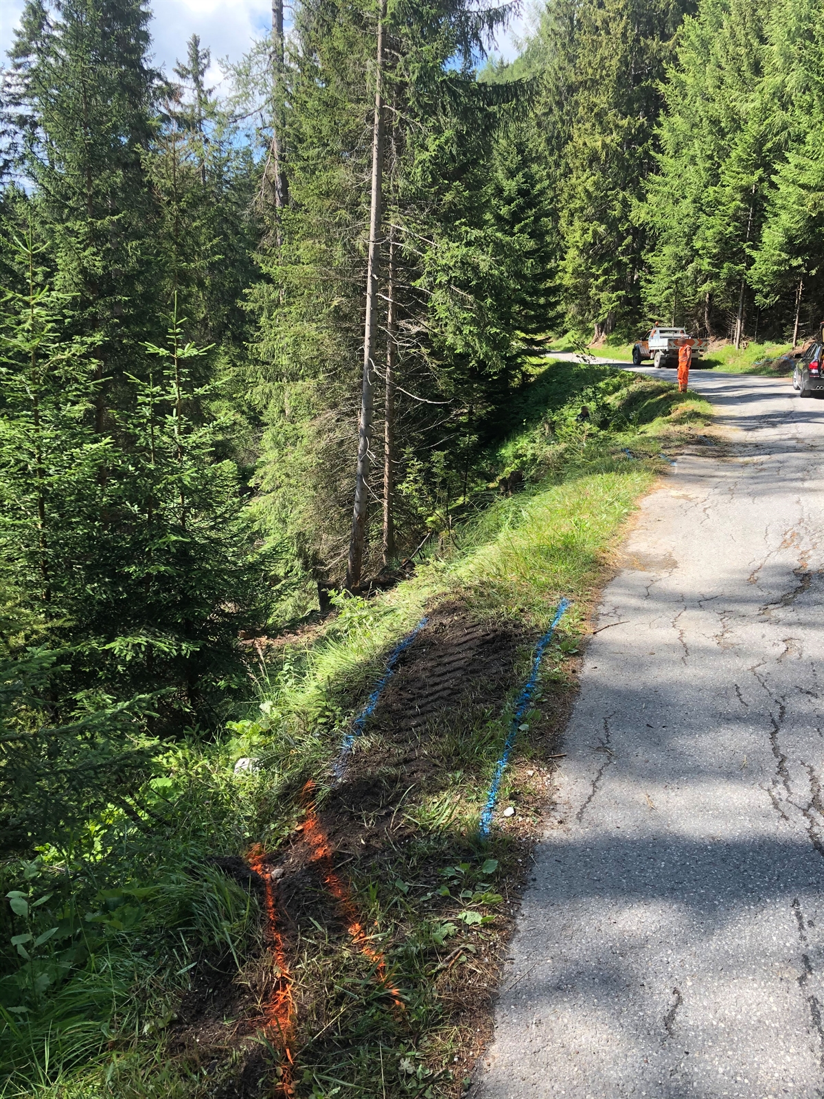 Bergstrasse mit Wald und Wiesen.