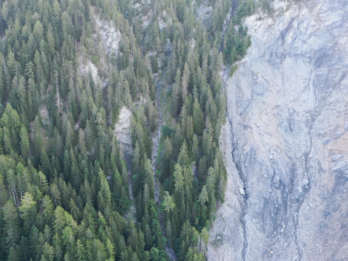 Drohnenbild der Absturzstelle im Gebiet Nesselböden in Chur. Das Couloir wird von Bäumen umgeben. Am rechten Bildrand ist der Bergsturz Valparghera ersichtlich.