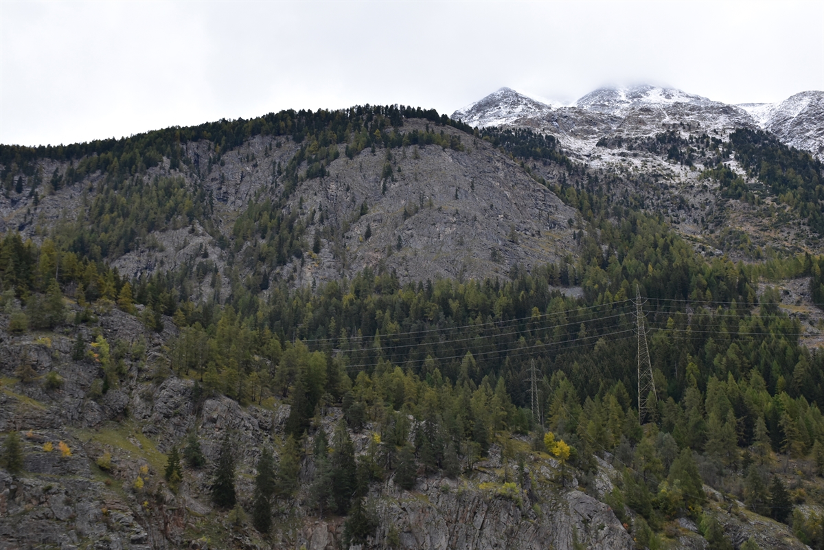 Felsdurchsetzter und bewaldeter Hang