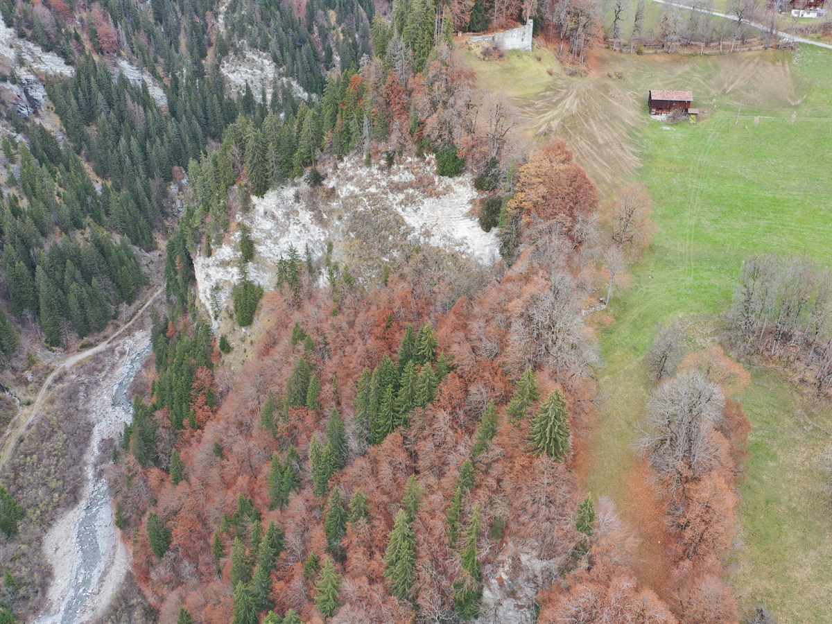 Eine Luftaufnahme. Rechts eine Wiese und links davon steil abfallendes bewaldetes Gelände, welches ins Tobel hinunterführt. Unten ersichtlich der Schanielabach.
