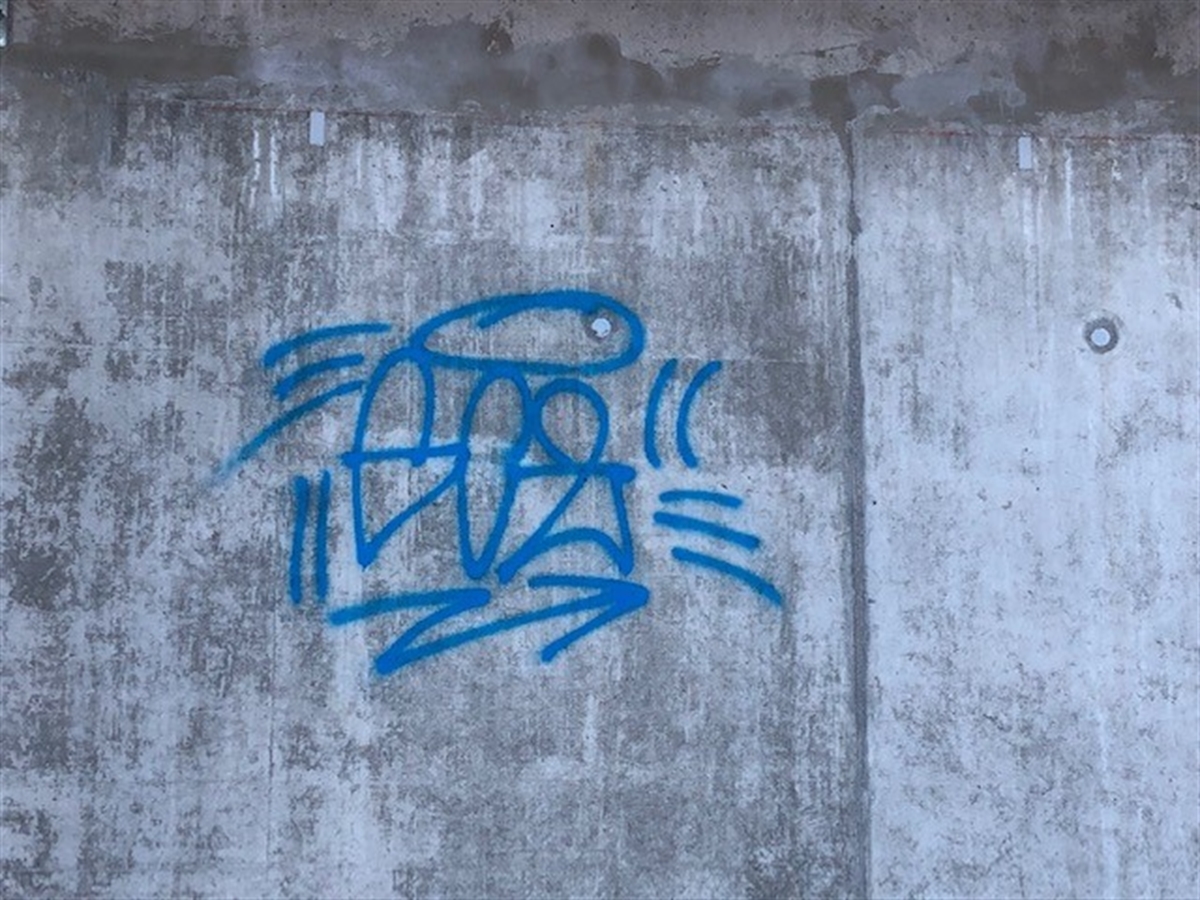 Mit blauer Farbe besprühte Hausfassade.