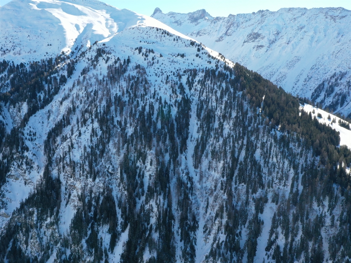Übersichtsaufnahme des Skigebietes Darlux mit dem Lawinenzug.
