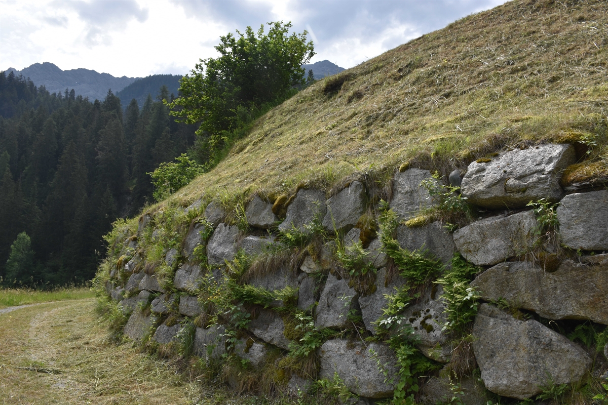 Mauer aus grossen Steinen und Wieshang