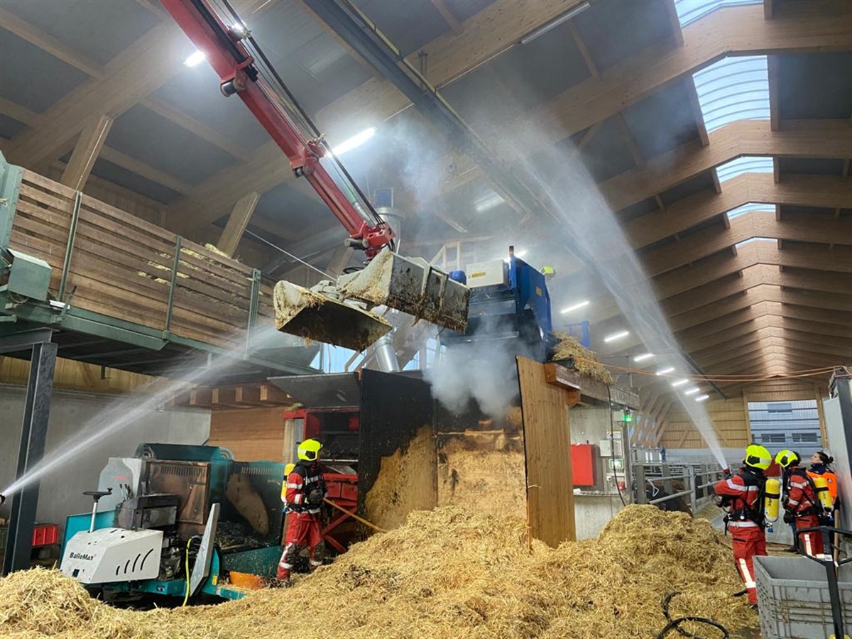 Feuerwehrleute im Stall mit Wasserschläuchen