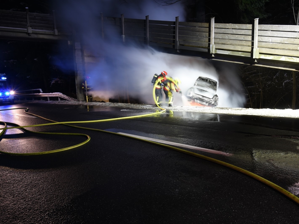 Links ein Feuerwehrfahrzeug, rechts davon zwei Feuerwehrleute beim Löscheinsatz des Autos. Das Auto steht unter einer Fussgängerüberführung.
