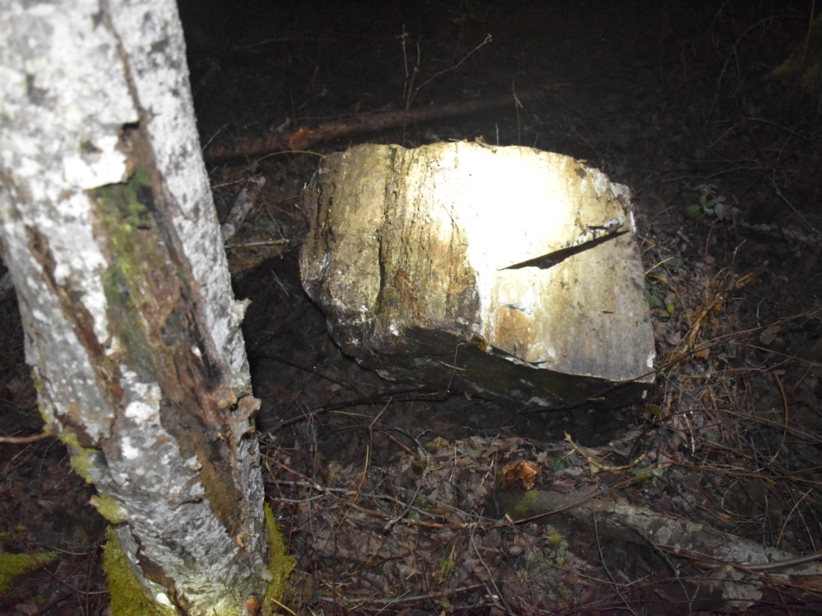 Ein rechteckiger Stein, links davon ein schmaler Baumstamm.