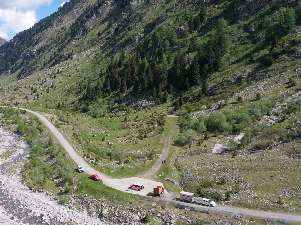 Drohnenbild vom Ereignisort mit den Fahrzeugen an Umladeplatz im Val Cristallina.