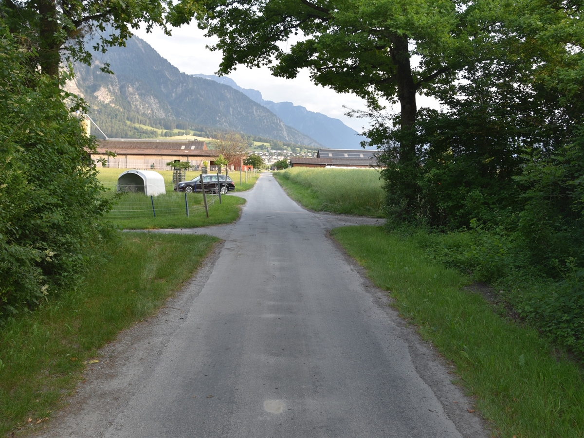 Der Siedlungsweg ist umsäumt von Bäumen. Rechts und links am Waldende jeweils die Zufahrten des Feldweges. Im Hintergrund ein Bauernhof. 