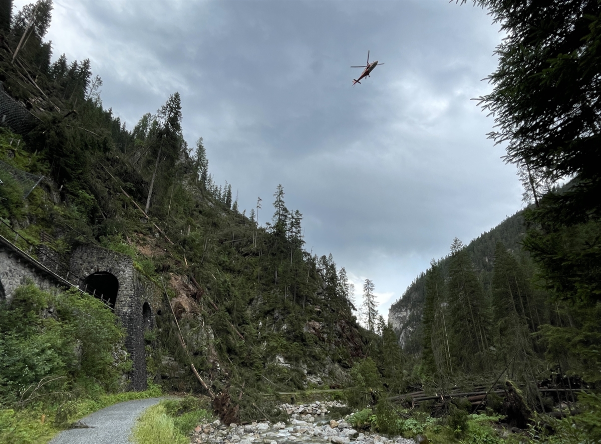 Helikopter in der Luft, Bäume versperren den Wanderweg