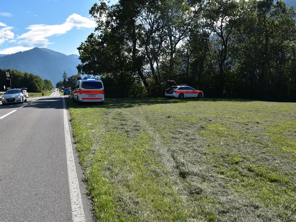 Rechts eine Wiese, links die Strasse. Auf der Wiese zwei Polizeiautos vor Gebüsch/Bäumen. Im Hintergrund Berge und meist blauer Himmel.