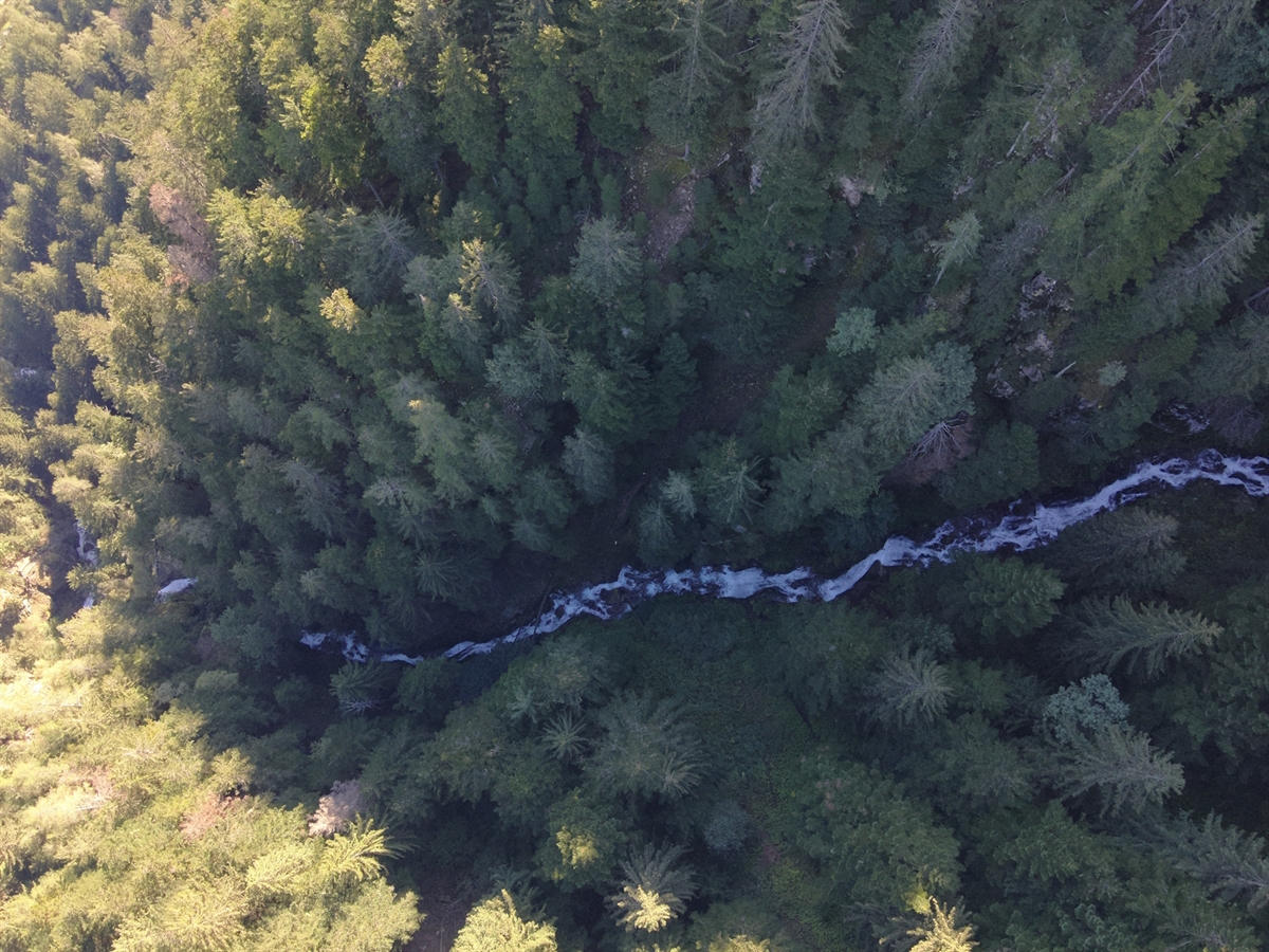 Luftaufnahme welche die Steilheit des bewaldeten Geländes zeigt. Zentral im Bild der Bach Crodalöc.