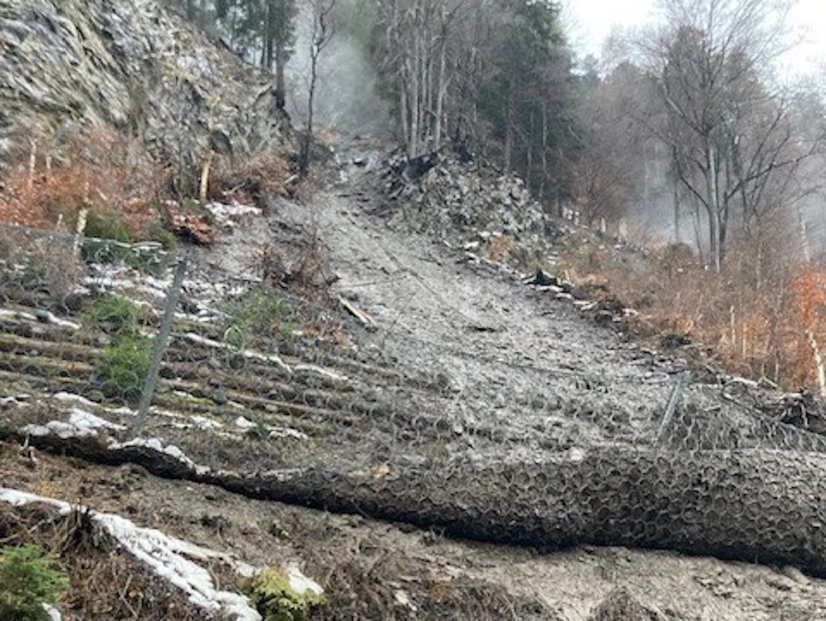 Steinschlagschutznetze halten den Grossteil an Gestein und Gehölz auf.