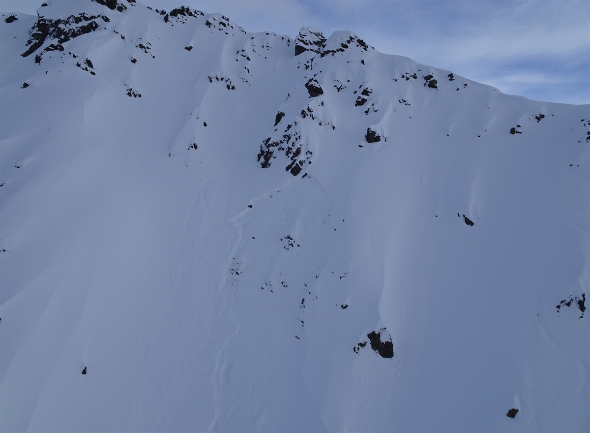 Luftaufnahme der Westflanke des Leidbachhorns. In der Bildmitte ist der Anriss einer frischen Lawine sowie eine Skiabfahrtsspur sichtbar.