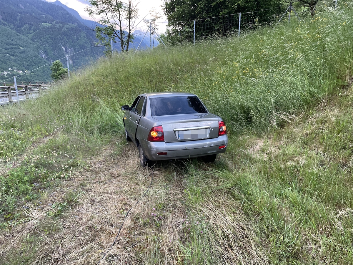 Das Auto steht auf einer Wiese. Im Hintergrund die A13.