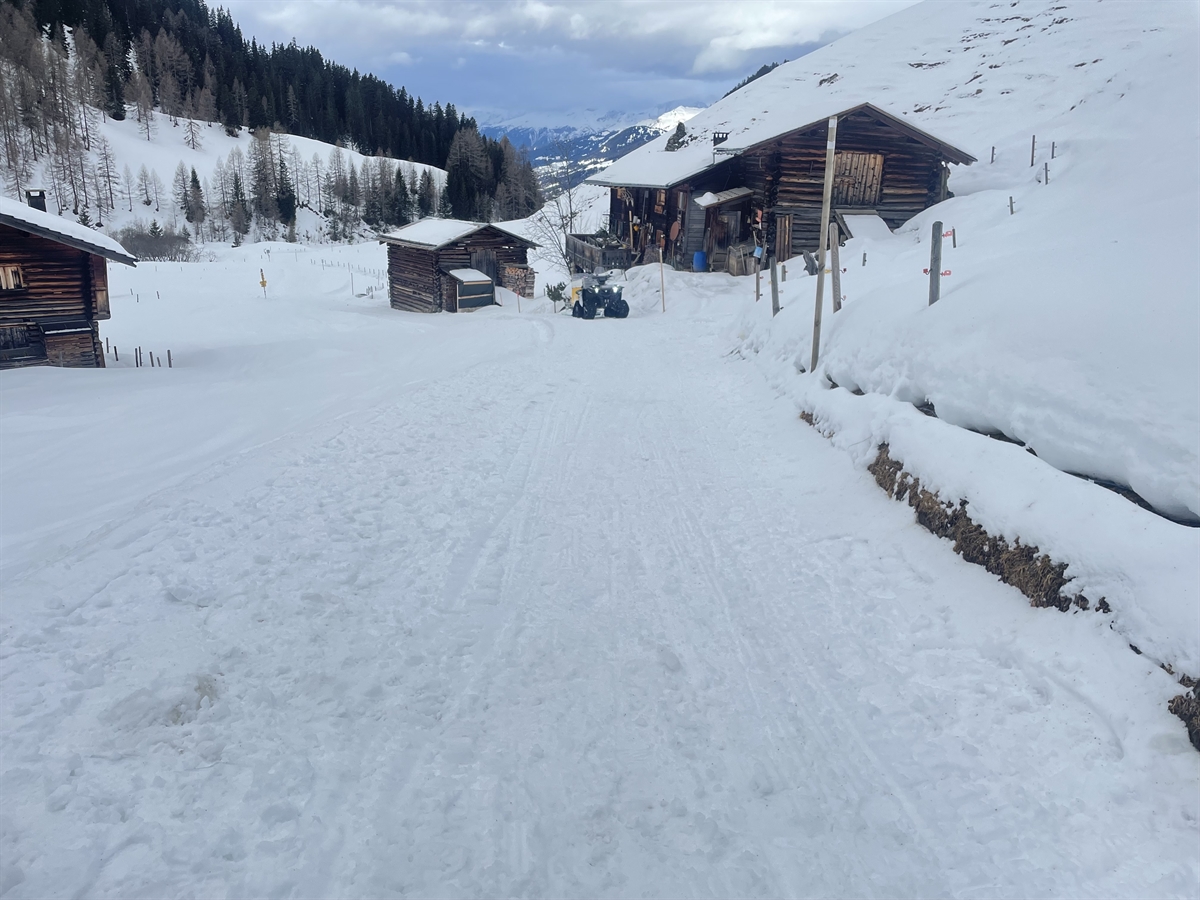 Schlittelweg, Ställe und Quad