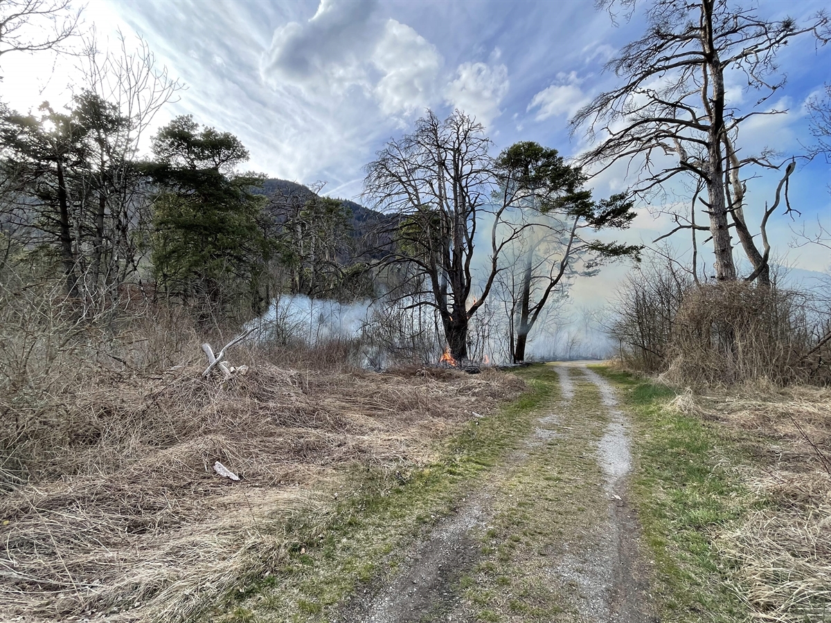 Rauchentwicklung im Bereich des Brandortes im Auenwald zu erkennen.