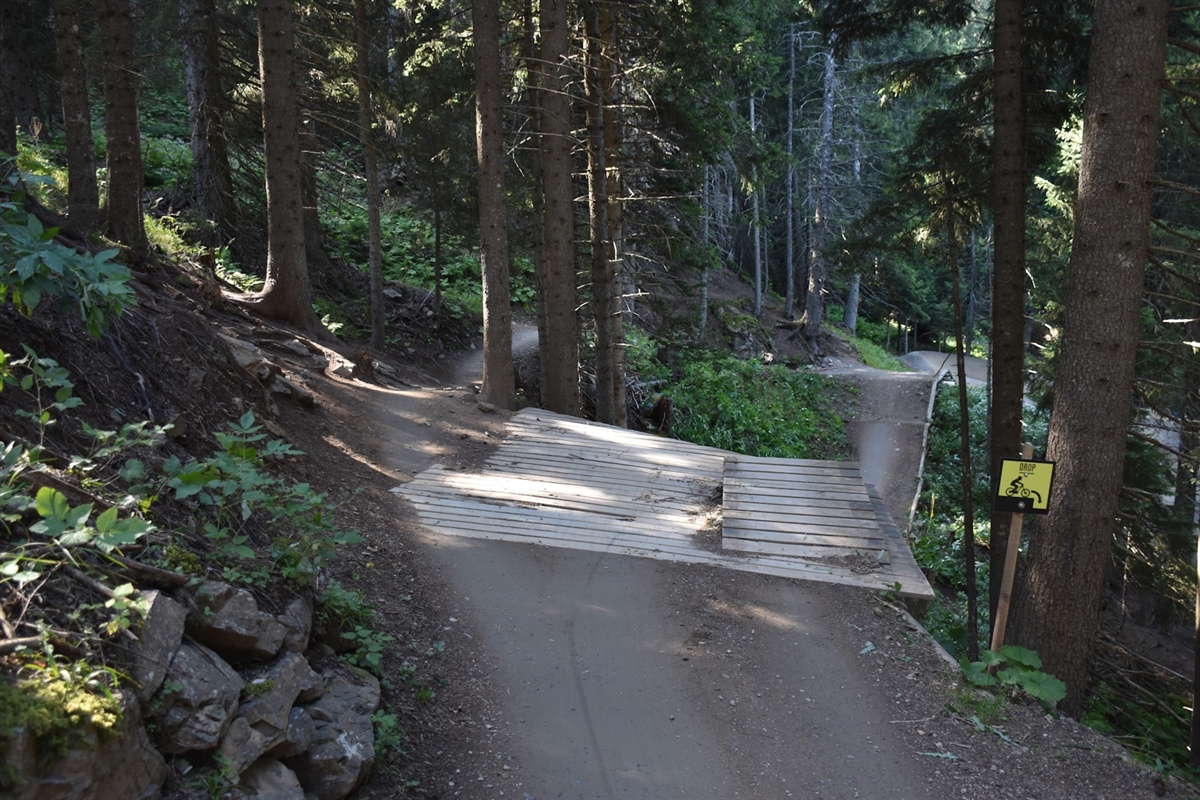 Biketrail im Wald mit dem vom Verunfallten befahrenen Drop auf der rechten Bildseite.