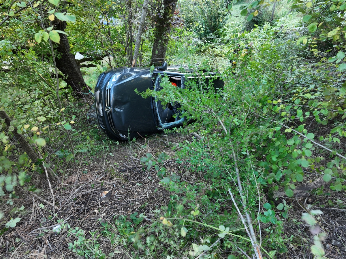 Das auf der Seite an einem Baum liegende Auto mitten im Wald