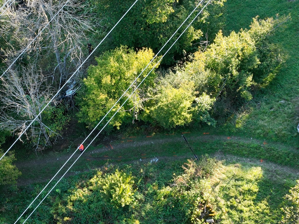 Unter Hochspannungsleitungen führt ein weg durch bewaldetes Gebiet