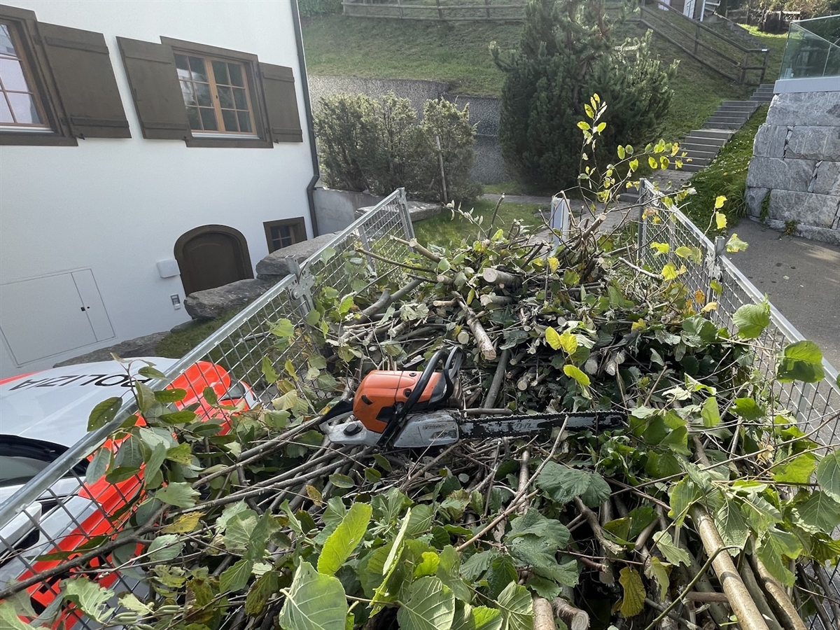Blick auf den mit Ästen gefüllten Anhänger. Darauf die Kettensäge. Links davon ein Haus und ein Polizeiauto.