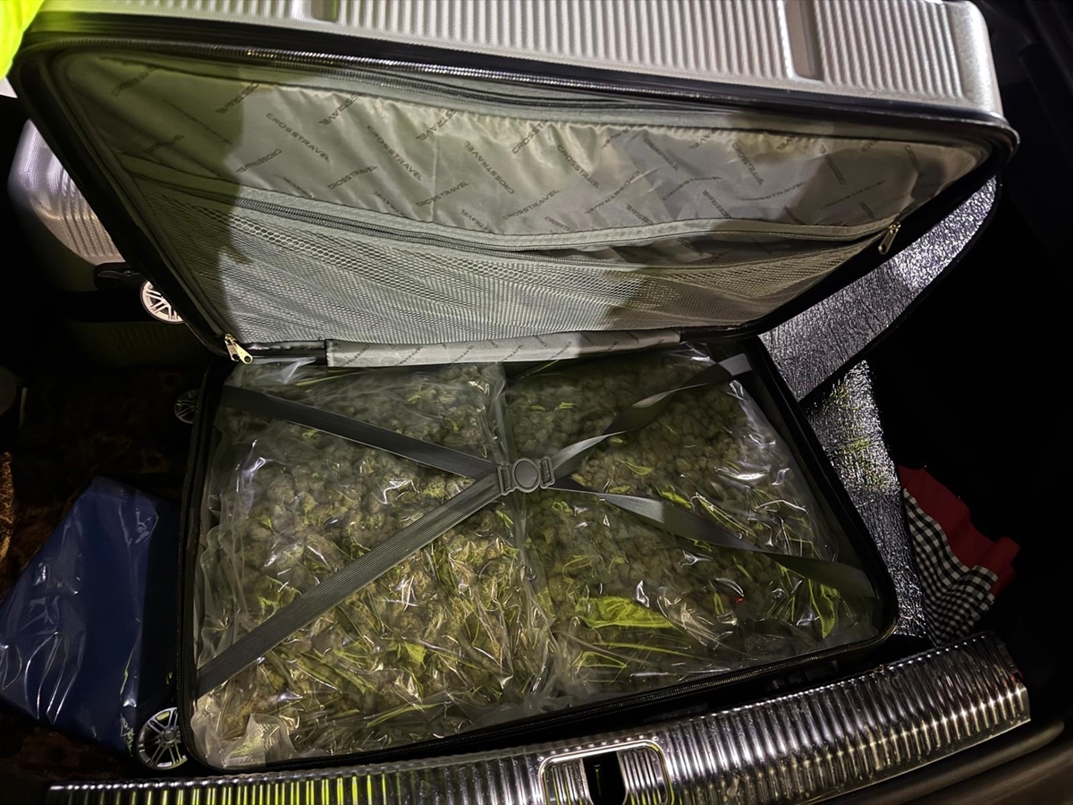 Ein geöffneter Koffer im Kofferraum des Autos. Im Koffer fein säuberlich, in Plastik verpacktes Marihuana