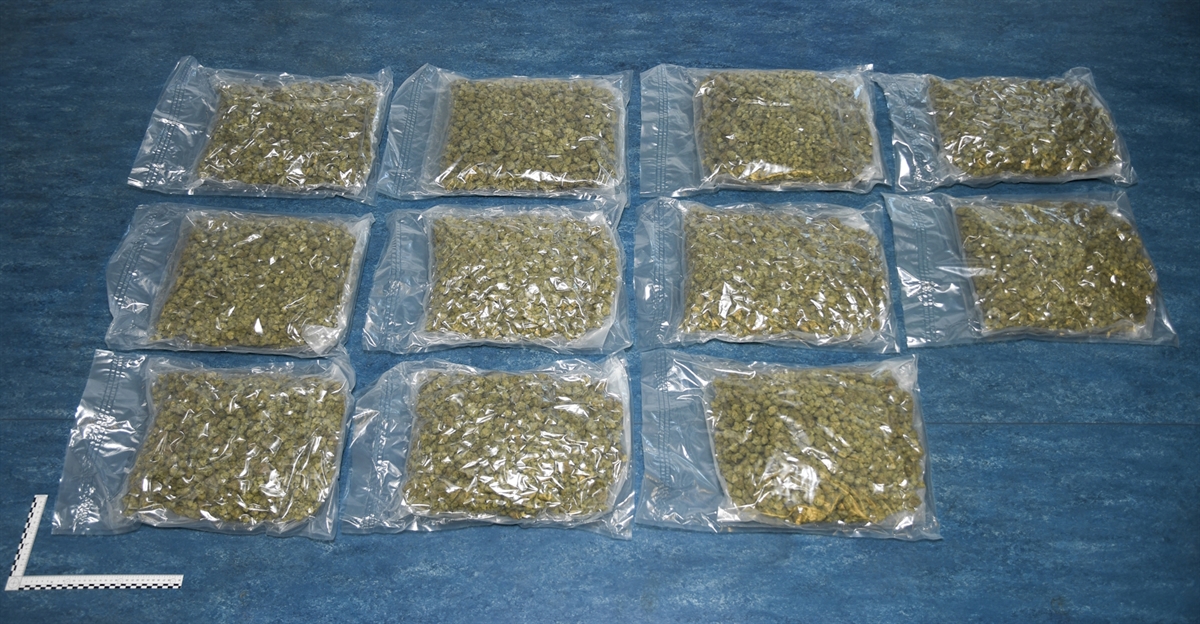 11 Plastiksäckchen mit dem Marihuana auf einem Tisch ausgelegt. Links unten ein Massstab des Kriminaltechnischen Dienstes